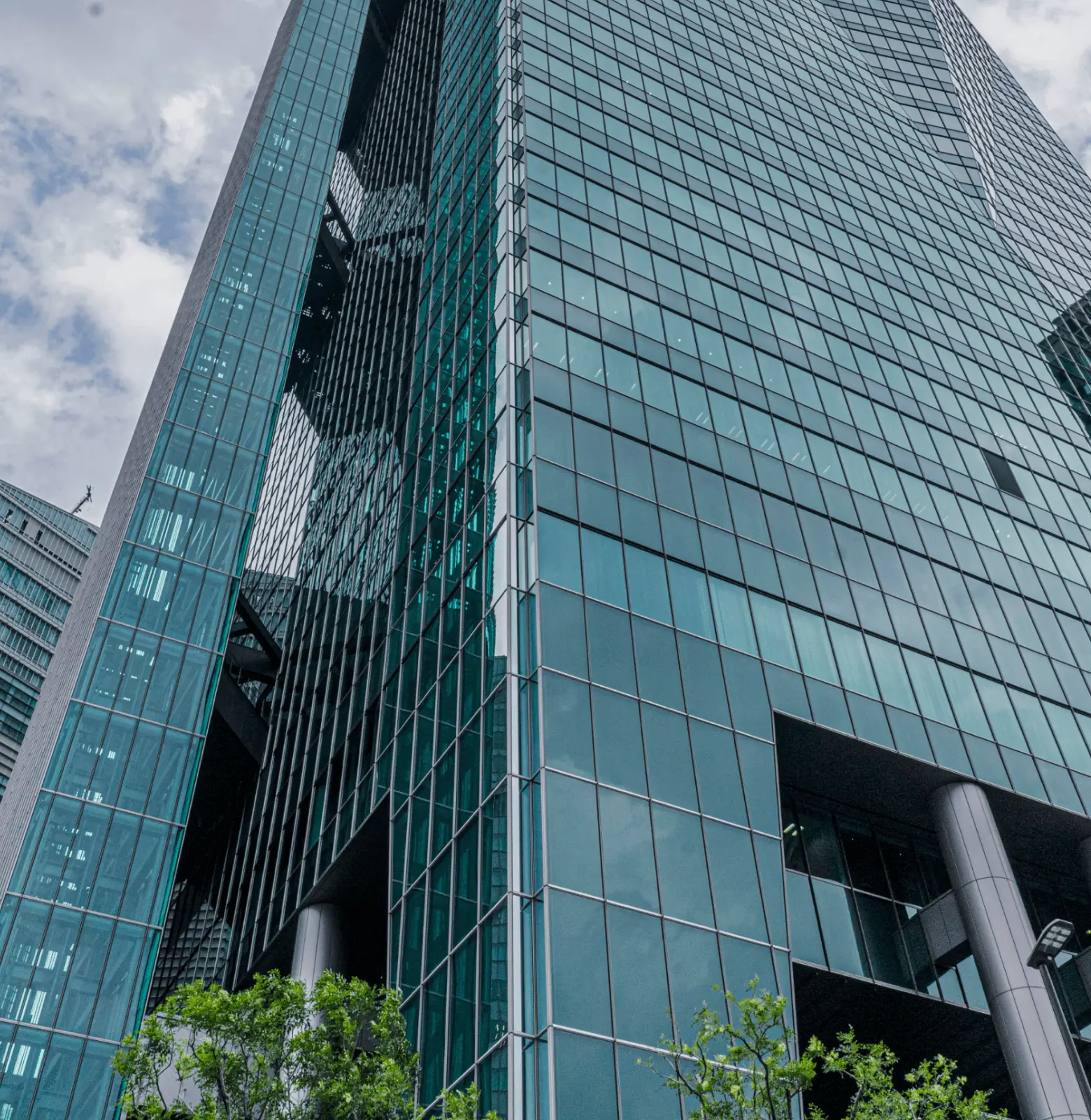 企業情報