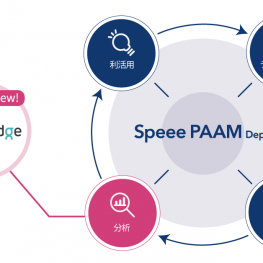 PAAM_drawbridge